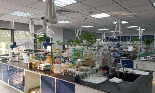 通過BCC知識產權管理體系認證